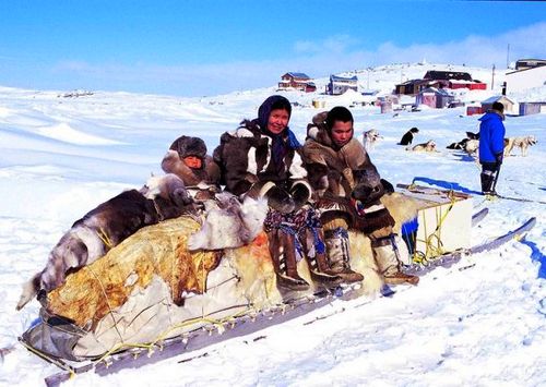инуиты Гренландии
