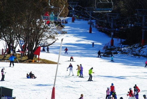 лыжные курорты в Австралии