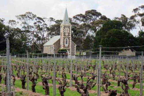 Австралийские-вина-Как-готовят-и-с-чем-пьют-вино-в-Австралии-6