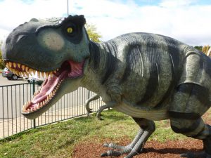 Музей динозавров фото