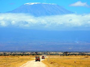 Дорога на Килиманджаро фото