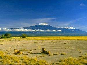Стражи Килиманджаро фото
