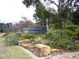 Австралийский Национальный Ботанический сад фото
