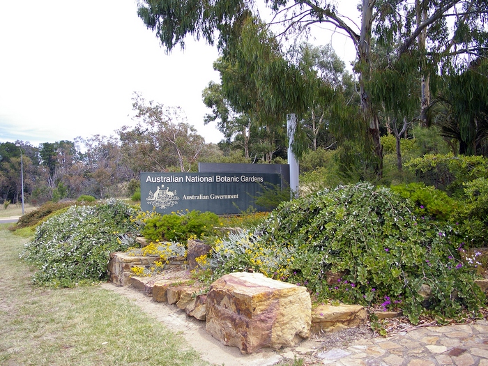 Австралийский Национальный Ботанический сад