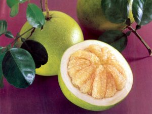 Помело (памела) фрукт: как растет, польза и вред, противопоказания, калорийность