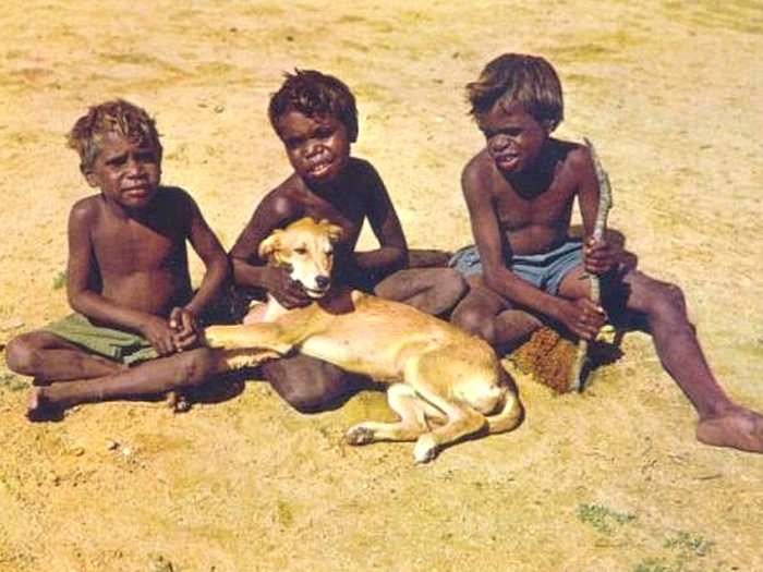Динго у детей аборигенов