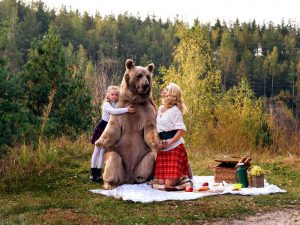 Домашний медведь фото