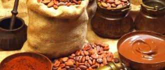 Какао дерево. История, описание, польза какао