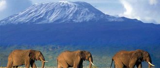 Интересные факты про Килиманджаро. 10 фактов о вулкане Килиманджаро