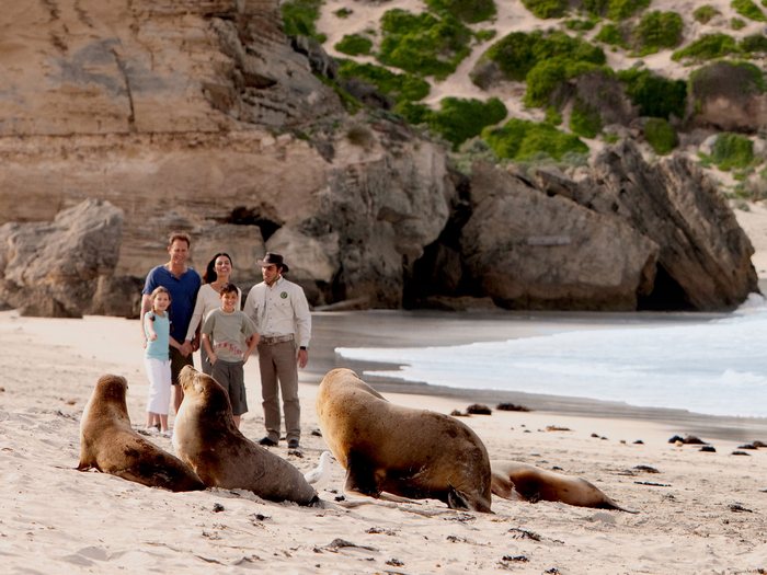 Seal Bay Conservation Park