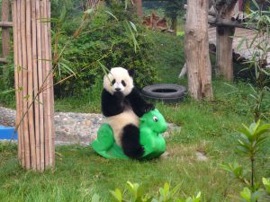 Качалка для панды фото