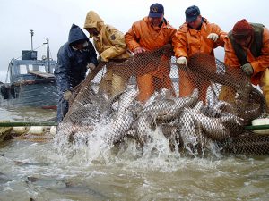 Рыбалка на Чукотке фото
