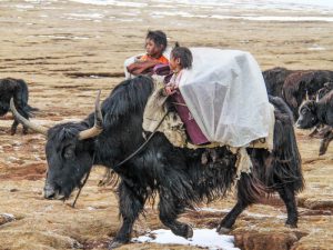 Тибетские кочевники фото