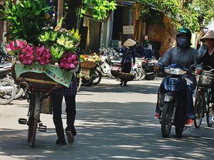 Продавцы лотоса в Ханое